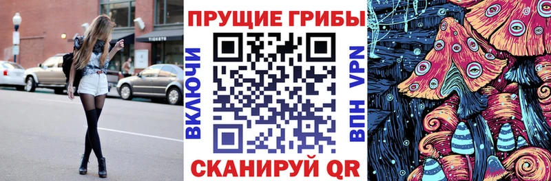 Купить где  Пущино  Галлюциногенные грибы прущие грибы 